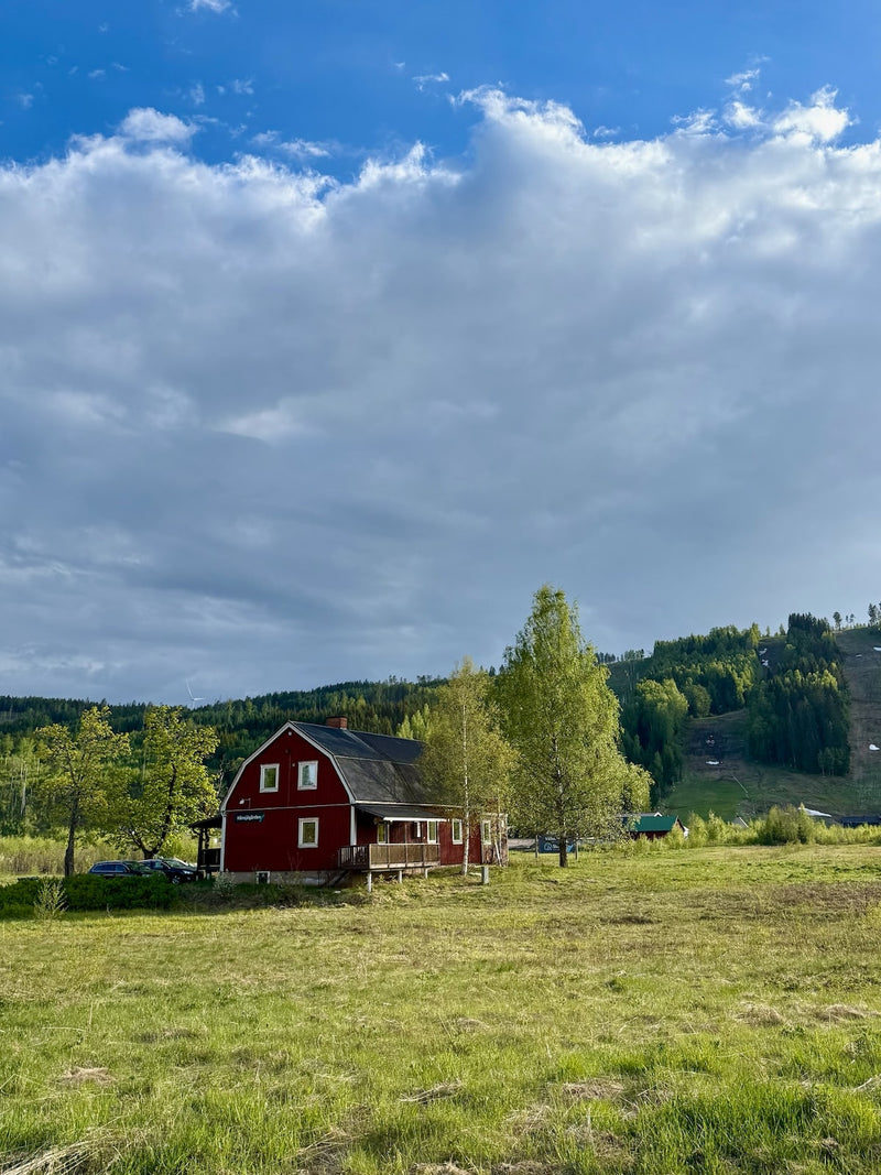 Hånsjögården i sommargrönska