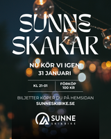 Biljett Railjam 31/1